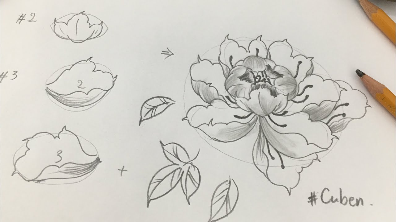 Mẫu đơn tatoo- hướng dẫn vẽ hoa mẫu đơn_ How to draw peony flowers ...