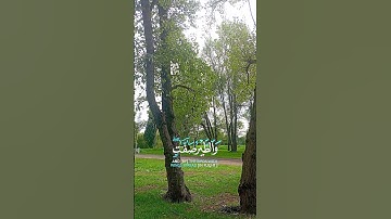 تلاوة نادرة مع جمال الطبيعة 🤍💚🕋فإذا قرأ القرآن فاستمعوا له و أنصتو لعلكم ترحمون