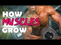 How Can You Gain 4lb Muscle In A Month?