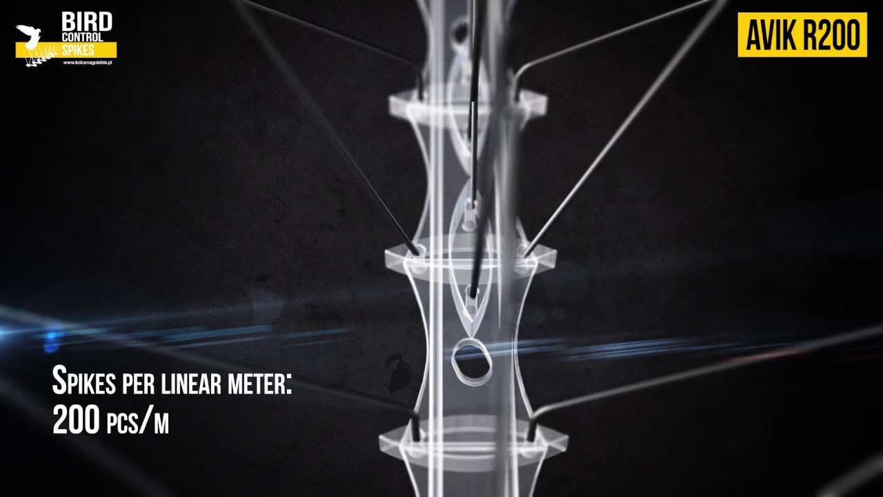 Bird spikes AVIK R200