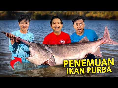 IKAN PURBA PALING ANEH TERBESAR DITEMUKAN DI MEGATANK MEWAH INI!