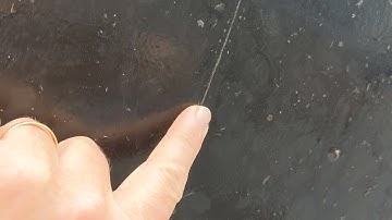 vinyl antifoul after 2.25 years