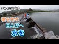 Japanese traditional work|早生の田んぼに水あて|地域のお仕事
