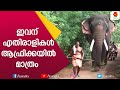 ഇന്ത്യയിലെ തന്നെ രണ്ടോ മൂന്നോ പേരിൽ  ഒരുവൻ ഇവന് എതിരാളികൾ ആഫ്രിക്കയിൽ മാത്രം | Elephant | Kairali TV