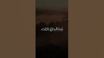 آيات من سورة النحل 🍃 .