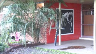 Holy invasion, Batman! Bats takeover Gueydan High, force campus closure