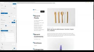 Botiga Blog options