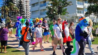 8K Video: FurDU 2024 (Fursuit Beach Walk)