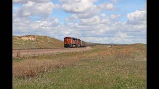 Snaking through the Sandhills (5/29/25)