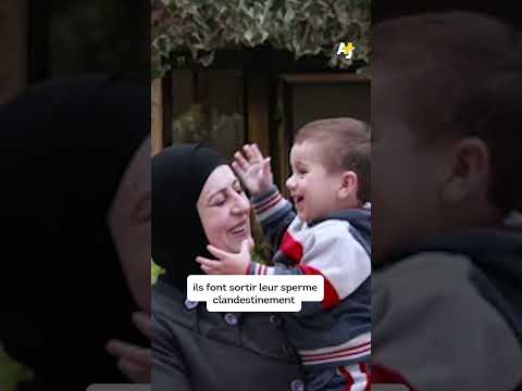 حيوانات المنويات