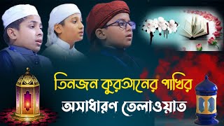 কুকিল কন্ঠে  অসাধারন তেলাওয়াত | New Tilawat |  Quran Tilwat | কোরানের পাখিদের মন মুগ্ধ কর তেলাওয়াত screenshot 2