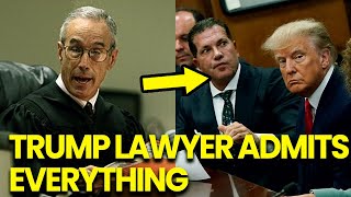 Trump Lawyer ADMITS EVERYTHING Judge DROPS BOMBSHELL