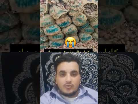 ويډيو پوره وګوري 