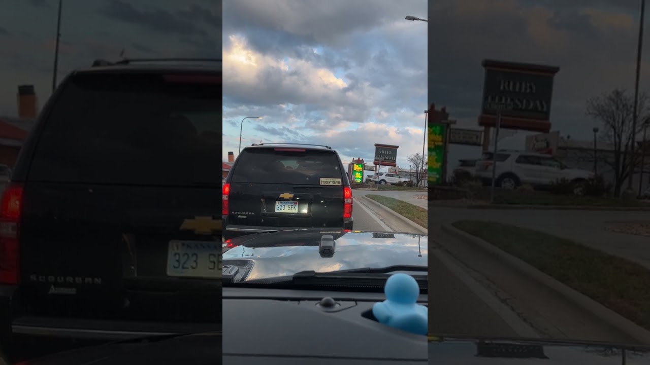 Branson's Tour Guide LIVE Drive (Branson's Tour Guide)