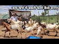 25000 में बना बकरी फार्म | Kam Kharch me Bakri Farm Kaise Banaye | Low Cost Goat Farm