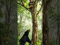 Two Friends and the Bear | A Short Moral Story About True Friendship #aianimation #ai