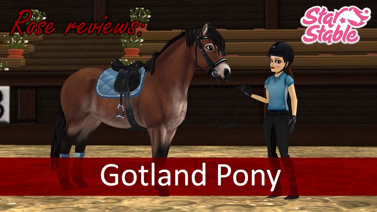 Star Stable Online; Rose Reviews ~ Gotland Pony