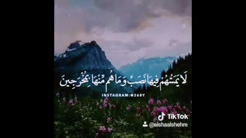 استمع لثواني لآيات ربي لن يأخذ من وقتك الكثير 🌸