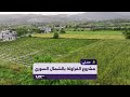 قصة نجاح زراعة فاكهة الفراولة في ريف إدلب