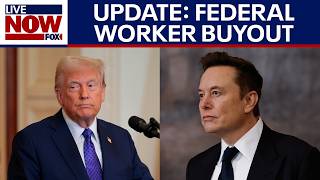 Pack your bags: Update on federal worker buyout offered by President Trump | LiveNOW from FOX