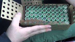 2014 02 09 Robin Hooding Keene X001