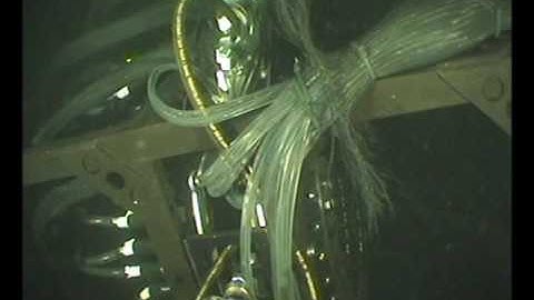 Long-range ultrasonic testing (LRUT): collar and manipulator tests on underwater pipeline 40m depth