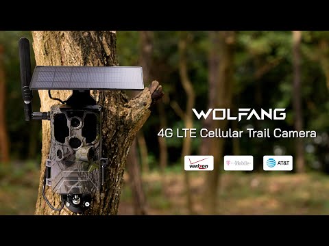 WOLFANG WT04: configuración de la cámara 4G