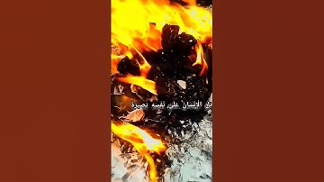 سورة القيامة بصوت طارق محمد ♥️#القرآن الكريم #سورة القيامة.