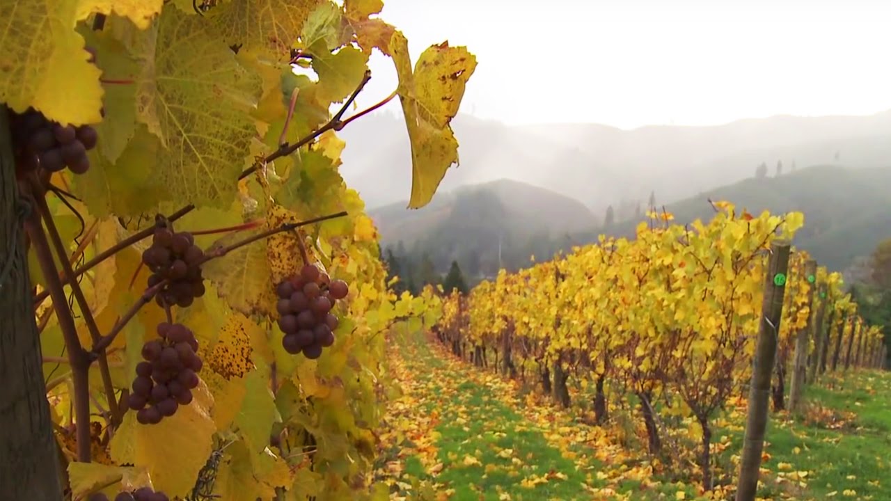 Grant's Getaways: Trappist Abbey in Oregon Wine Country