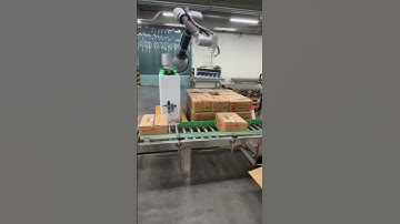 #palletizer #machine #factory #automated #auto #robot #packing