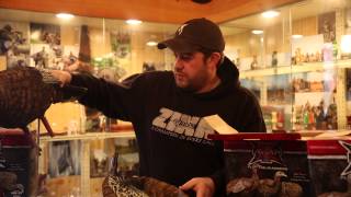 Unboxing of the New Hatch of Avian-X LCD Hen Decoys