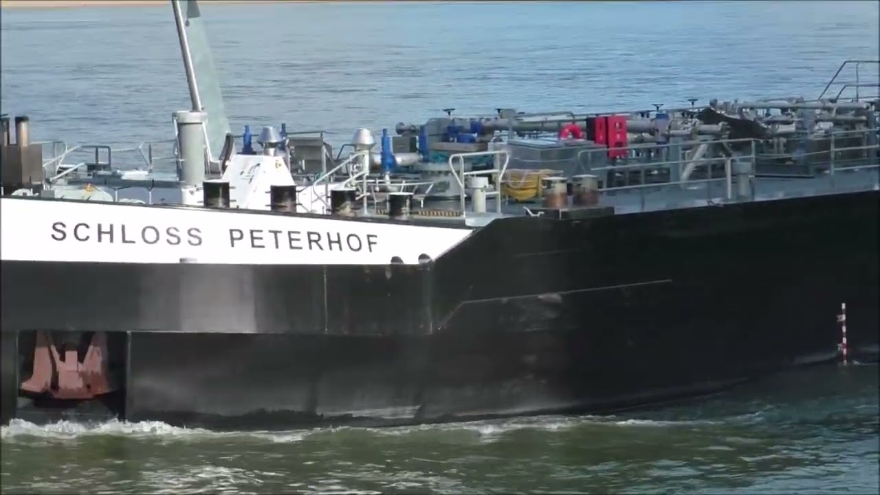 Schiffe Schloss Peterhof, Lehar und  Regina