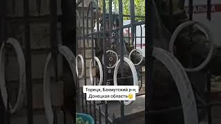 Евакуація населення України з Донецька область