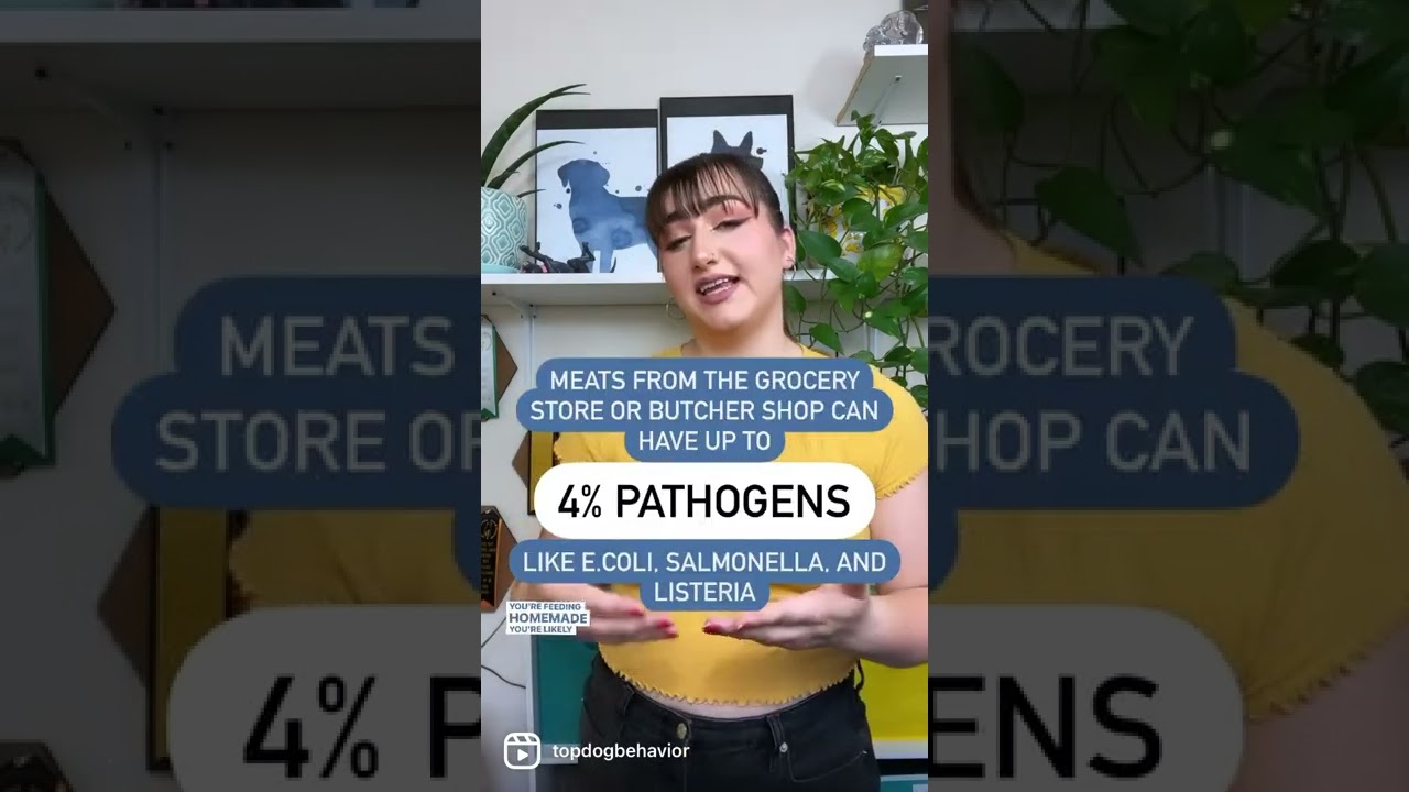 Is Raw Pet Food Safe?