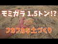 【籾殻を活かした土作り】モミガラ大量投入!モミガラと残渣でフカフカな土作り トマト農家さんに訪問【土壌改良・トマト】