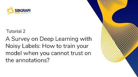 SIBGRAPI | Tutorial 2: A Survey on Deep Learning with Noisy Labels