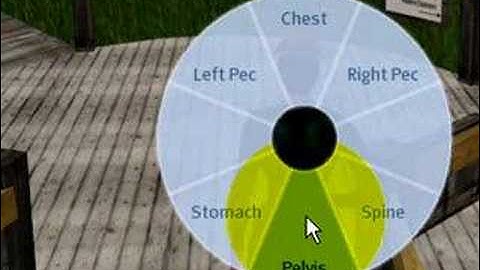 BASICS: Using the pie menu - Second Life Video TuTORial