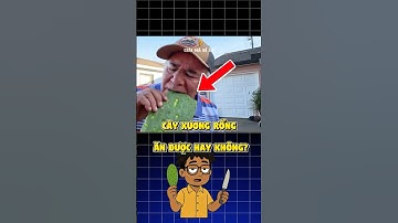 Cây xương rồng có ăn được không? 🌵