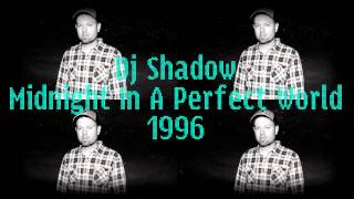 Dj Shadow - Midnight In A Perfect World