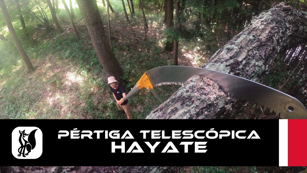 Pértiga telescópica de poda Silky HAYATE - YouTube