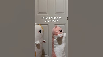 Talking to Your Crush Be Like: