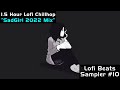 15 hour lofi sadgirl mix  lofi beats sampler 10 2022