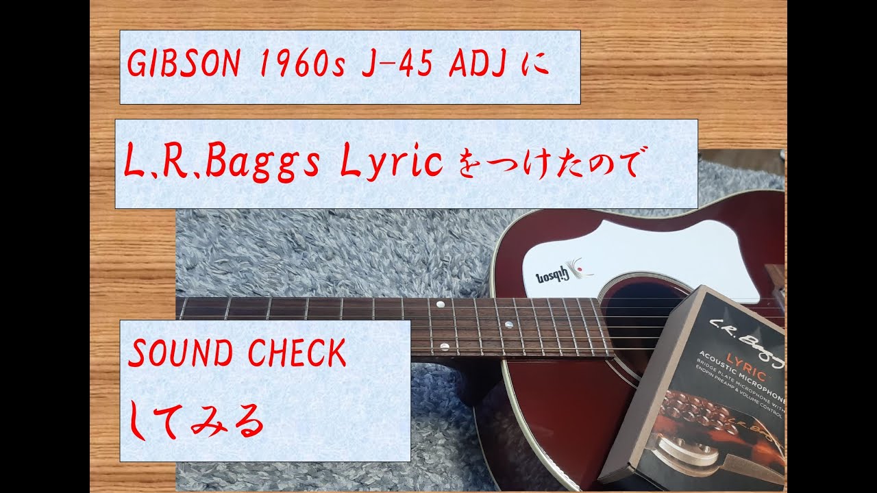 LR.Baggs LYRIC Acoustic Microphone アコースティック ピックアップ 