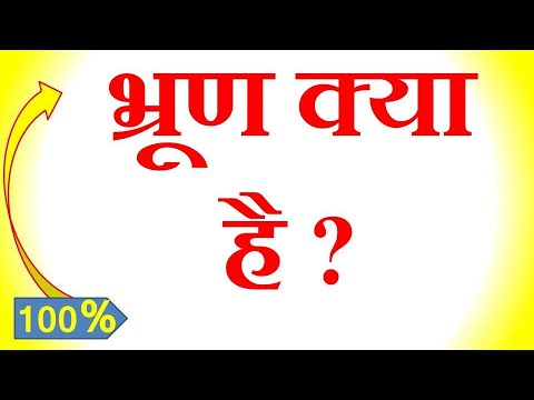 वीडियो: क्या भ्रूण एक व्यक्ति है?