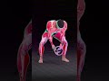 Landmine Row Variations You Need #powertraining #3danimation