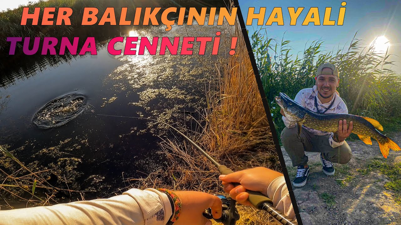 Aksiyon Dolu Turna Avı !! | Bu Mera Da Küçük Turna YOK !!!