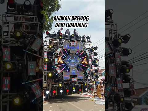 titisan brewog dri Lumajang #shrot_viral