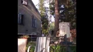 Ice Bucket Challenge FAIL Compilation Best Ice Bucket Challenge FAILS 2014