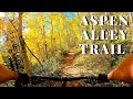 MOUNTAIN BIKING | ASPEN ALLEY