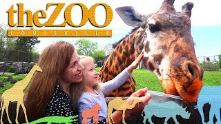 Louisville ZOO  Adventures  -  Приключения в Зоопарке Луисвилль США